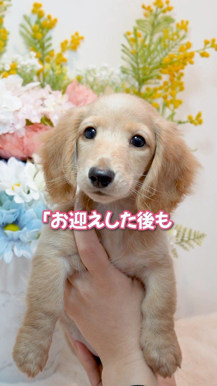「なぜ抱っこできないの？」