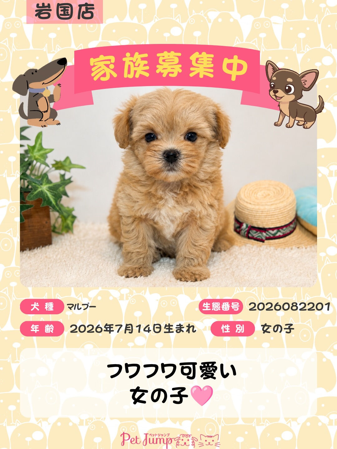 🐶💗 家族募集中 💗🐶