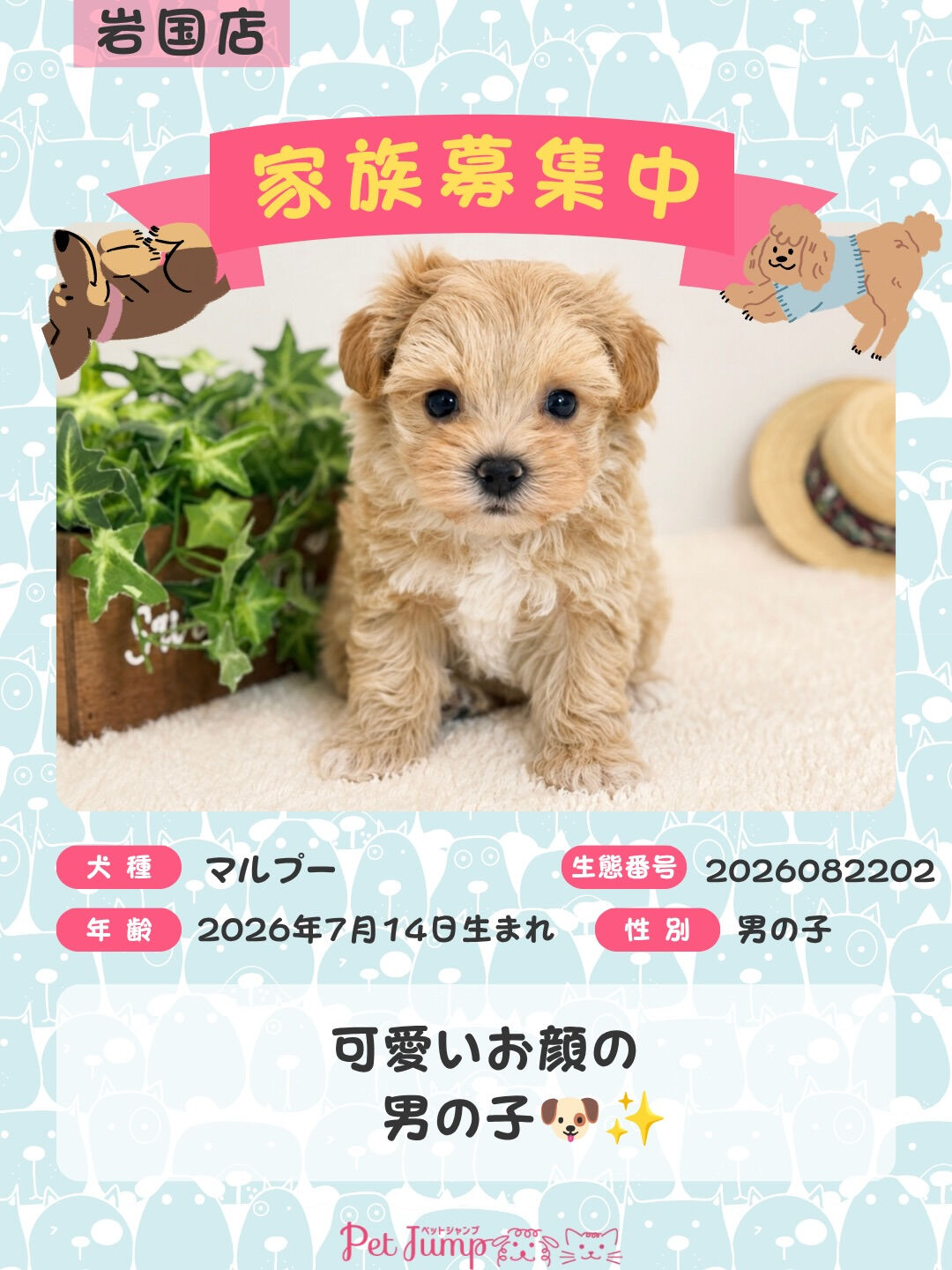 🐶💗 家族募集中 💗🐶