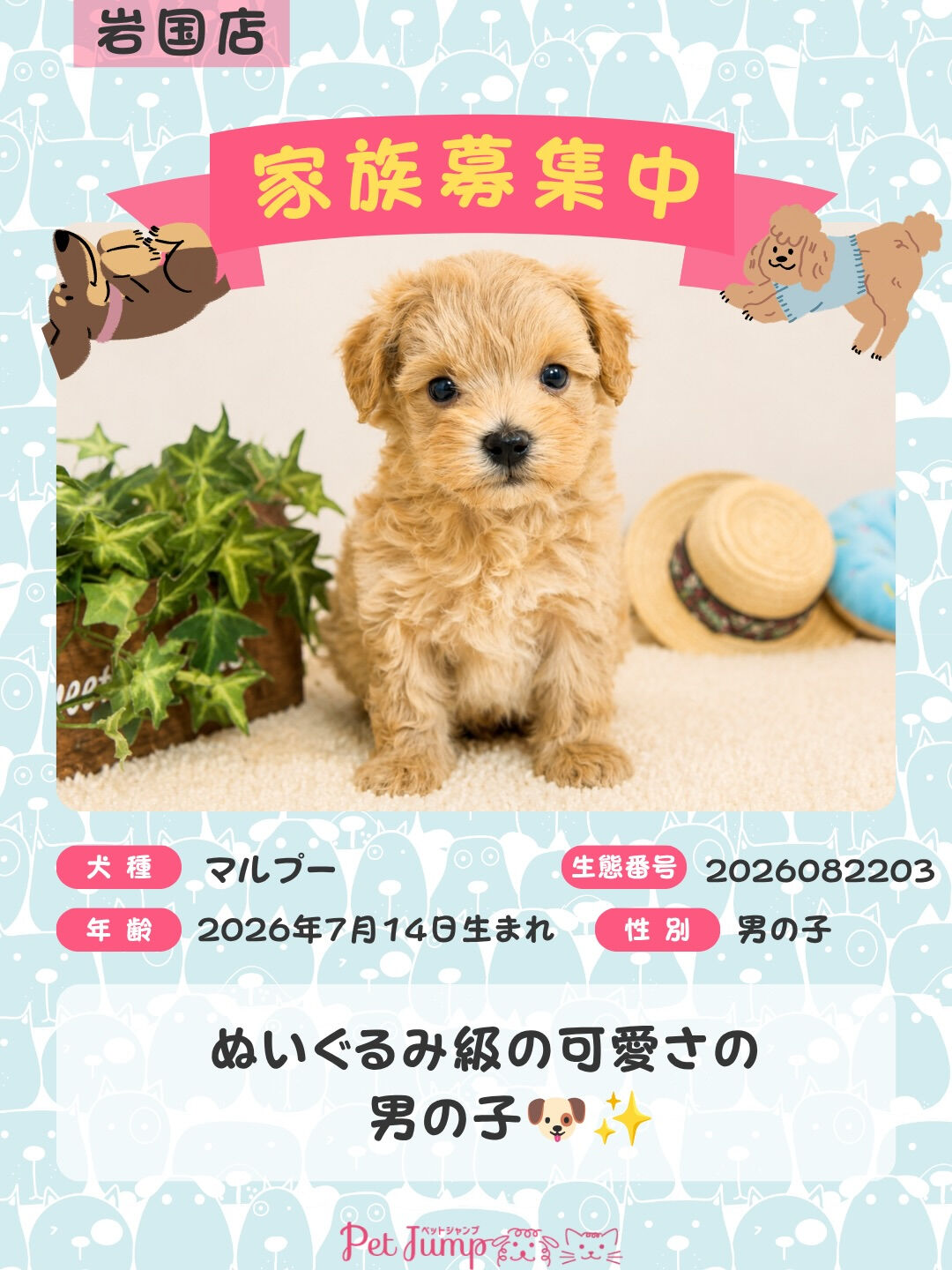 🐶💗 家族募集中 💗🐶