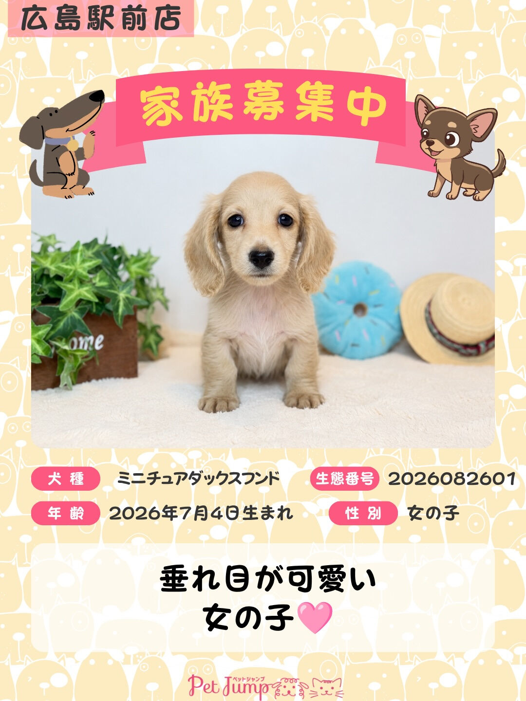 🐶💗 家族募集中 💗🐶