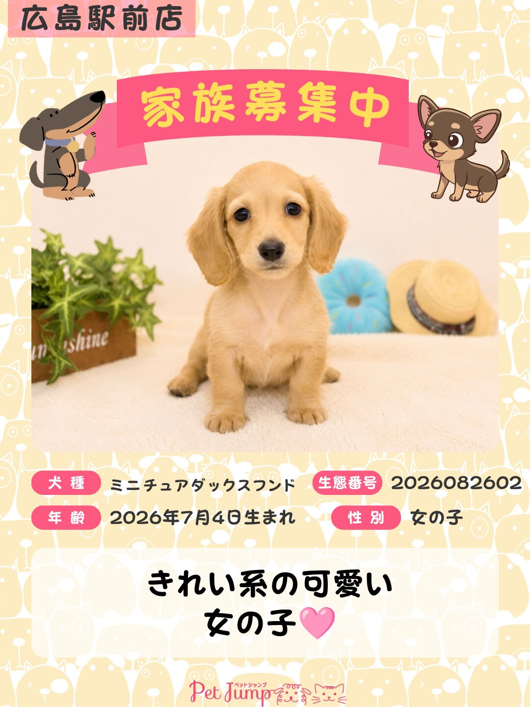 🐶💗 家族募集中 💗🐶