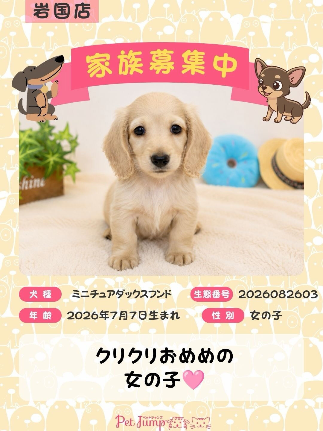🐶💗 家族募集中 💗🐶