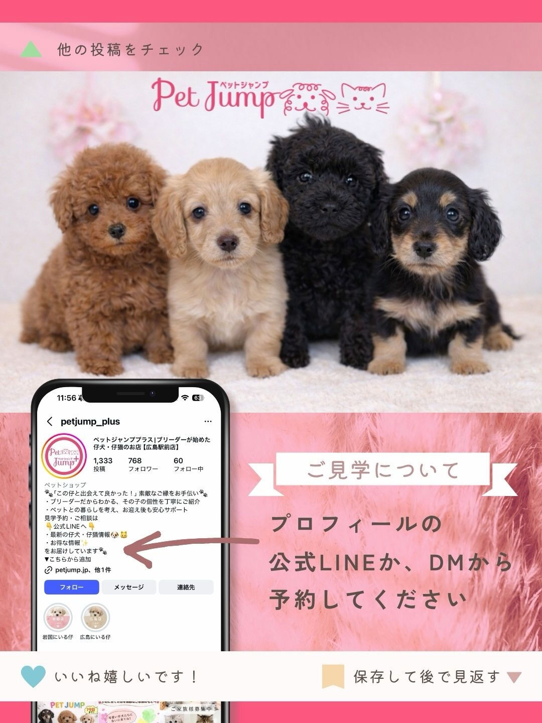 🐶💗 家族募集中 💗🐶
