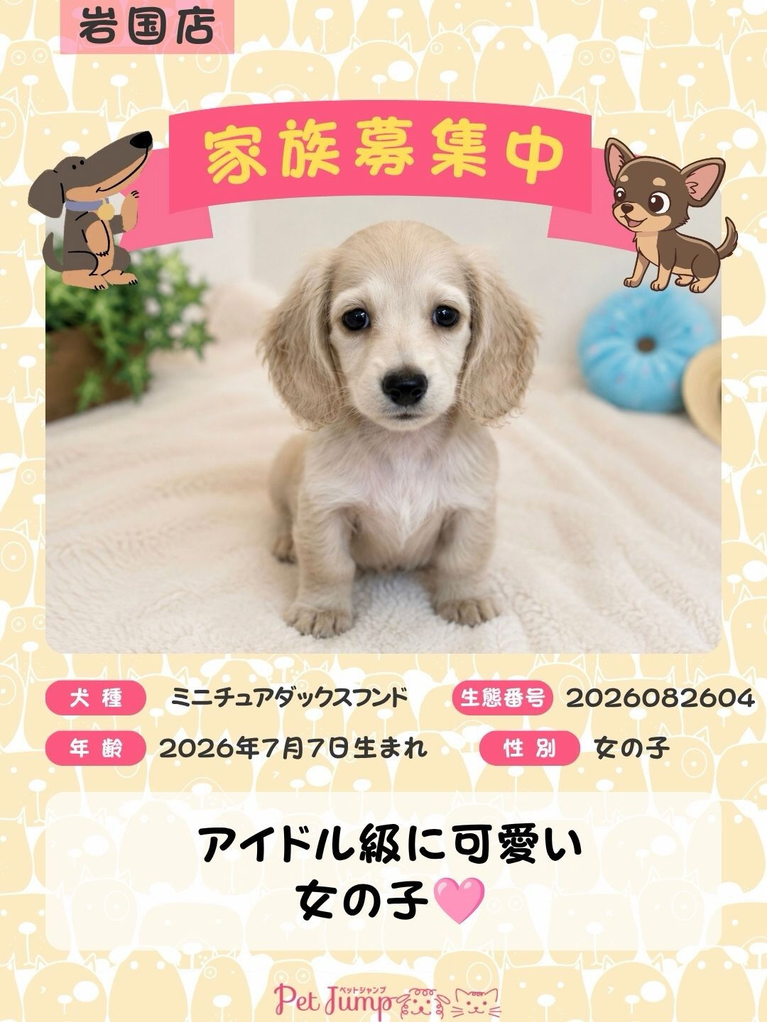 🐶💗 家族募集中 💗🐶