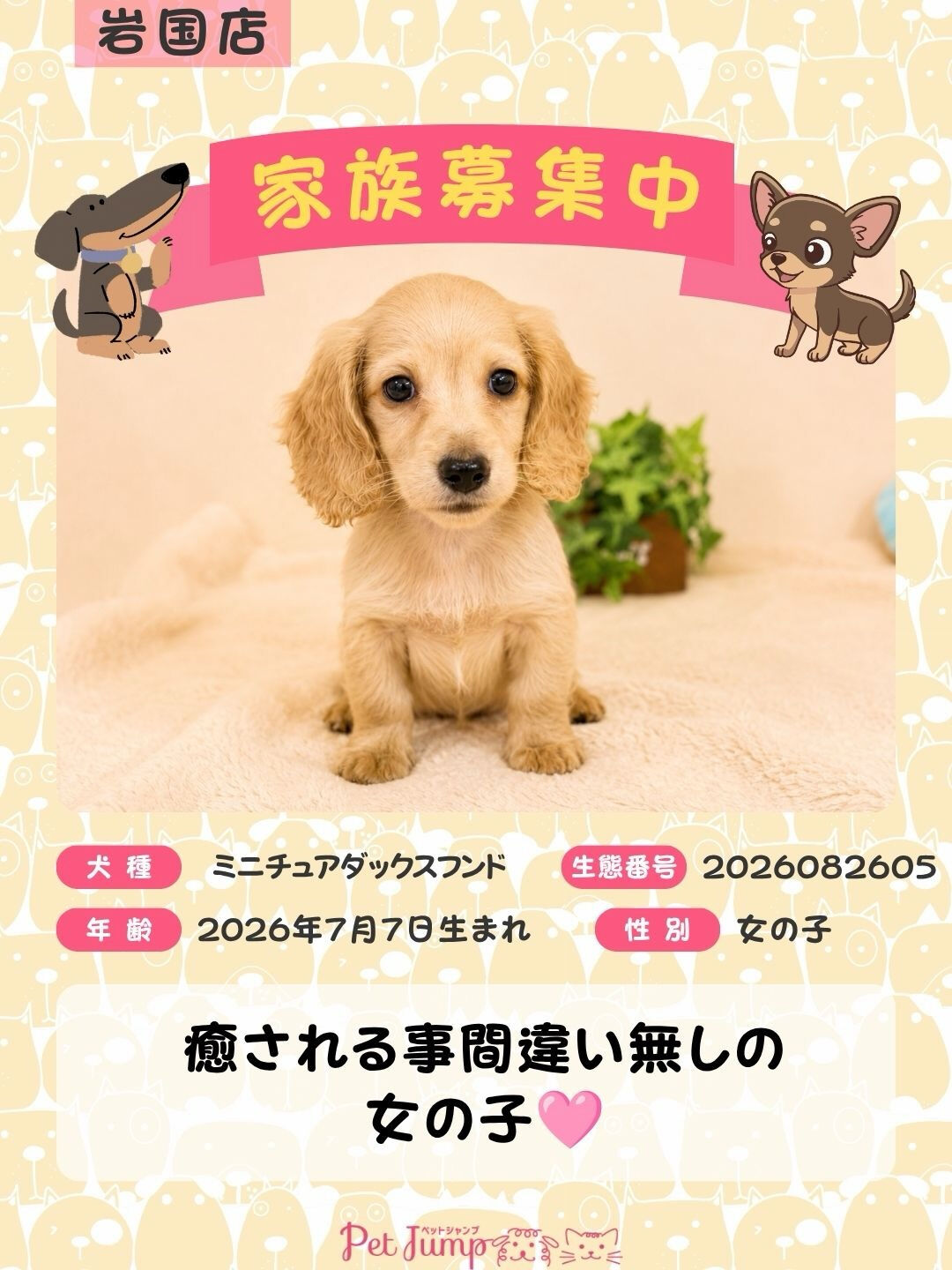 🐶💗 家族募集中 💗🐶
