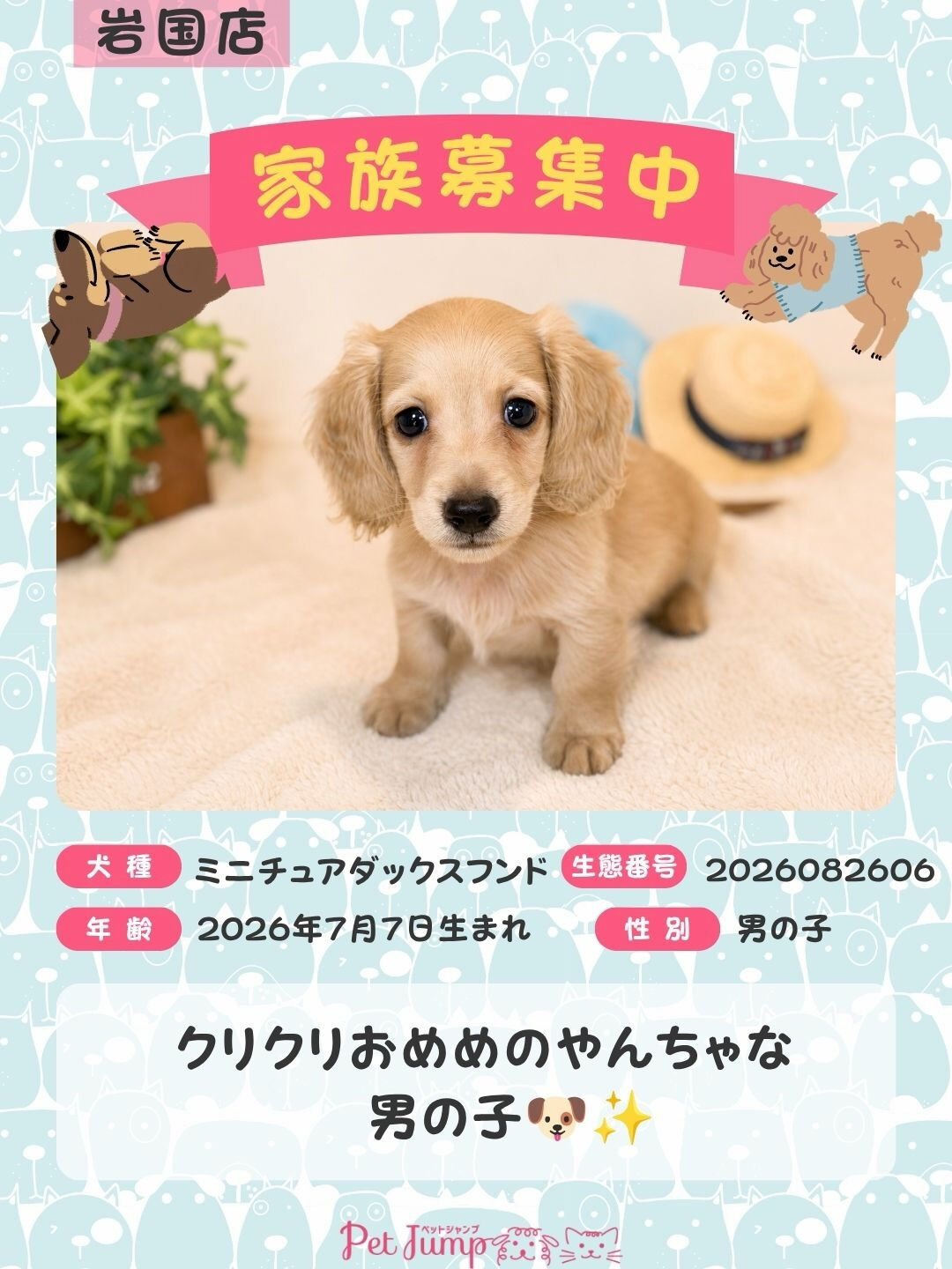 🐶💗 家族募集中 💗🐶