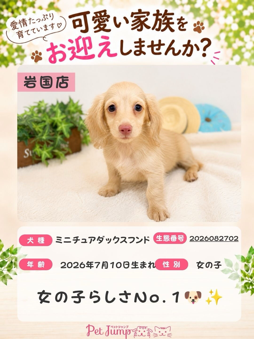 🐶💗 家族募集中 💗🐶