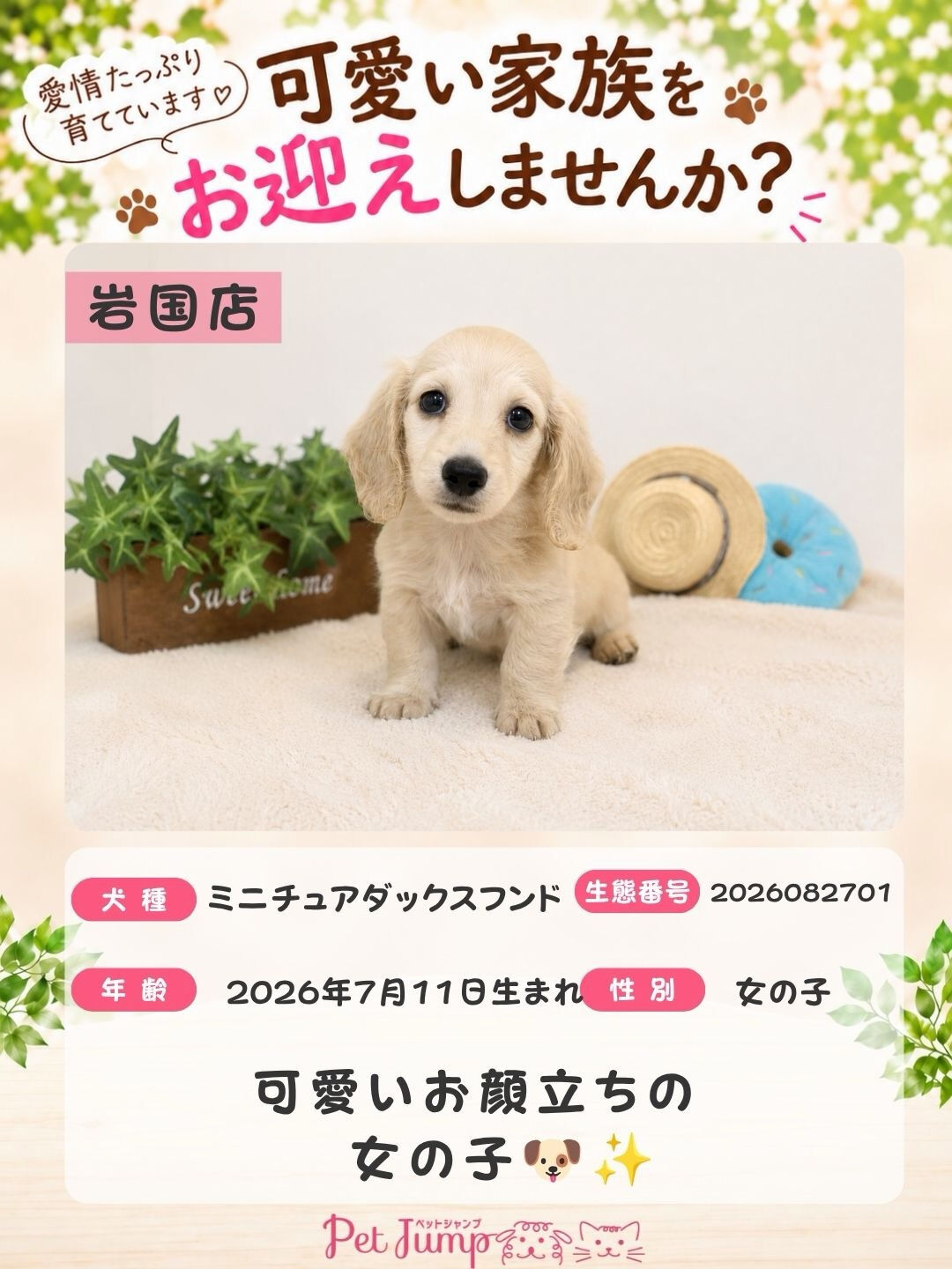 🐶💗 家族募集中 💗🐶