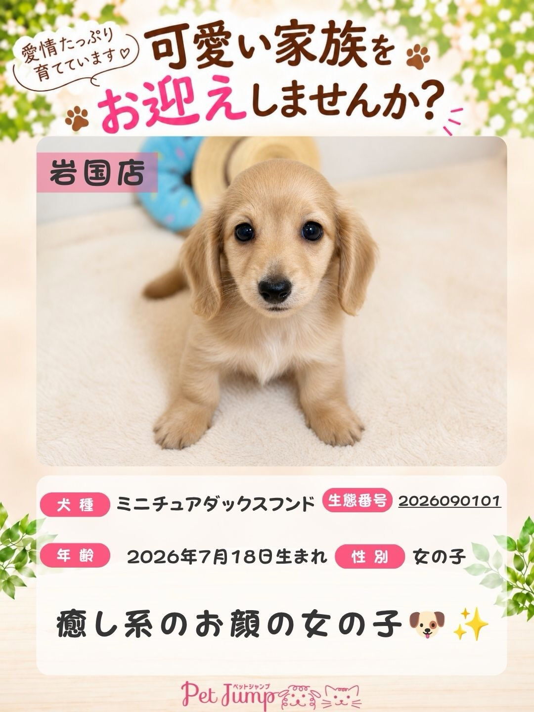 🐶💗 家族募集中 💗🐶