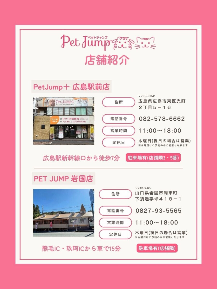 🐶💗 家族募集中 💗🐶