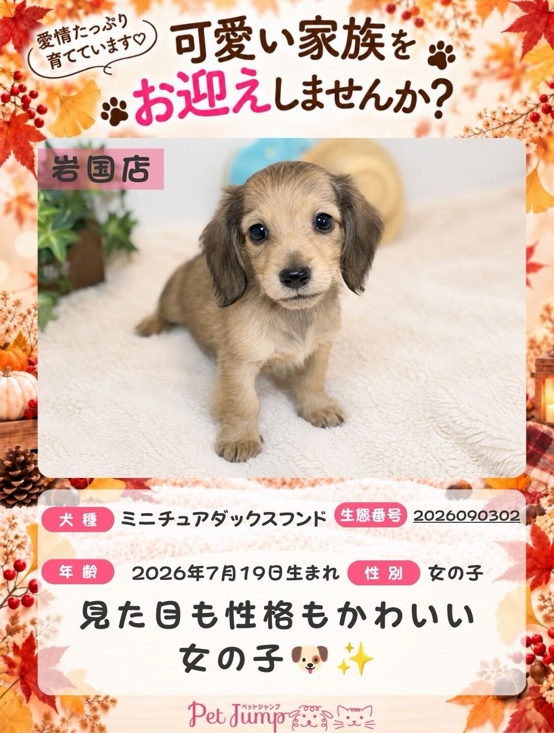 🐶💗 家族募集中 💗🐶
