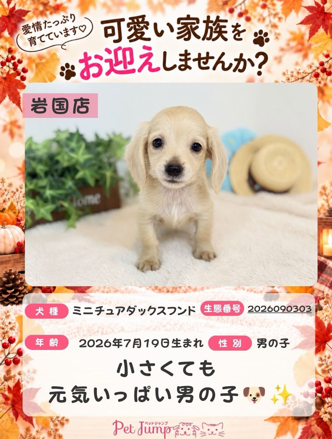 🐶💗 家族募集中 💗🐶