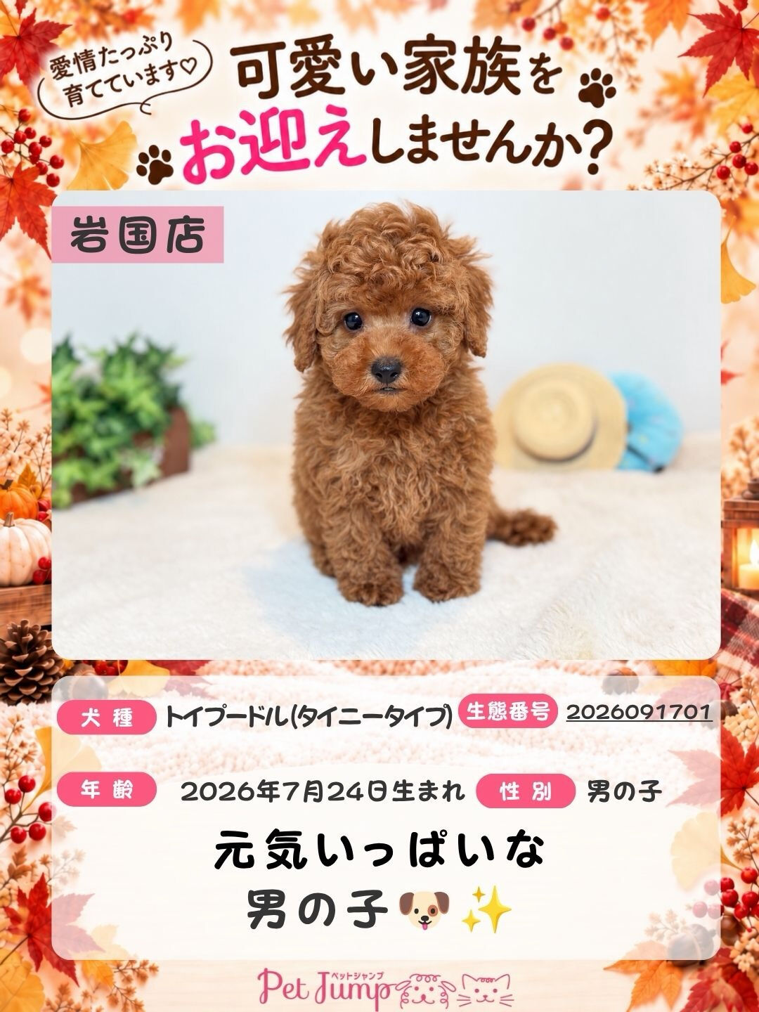 🐶💗 家族募集中 💗🐶