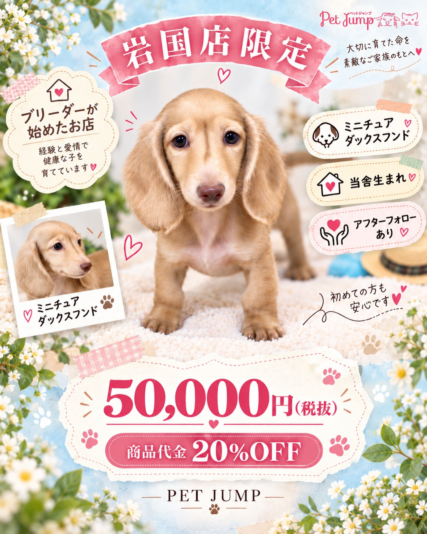🌼 岩国店限定！特別価格のご案内 🌼