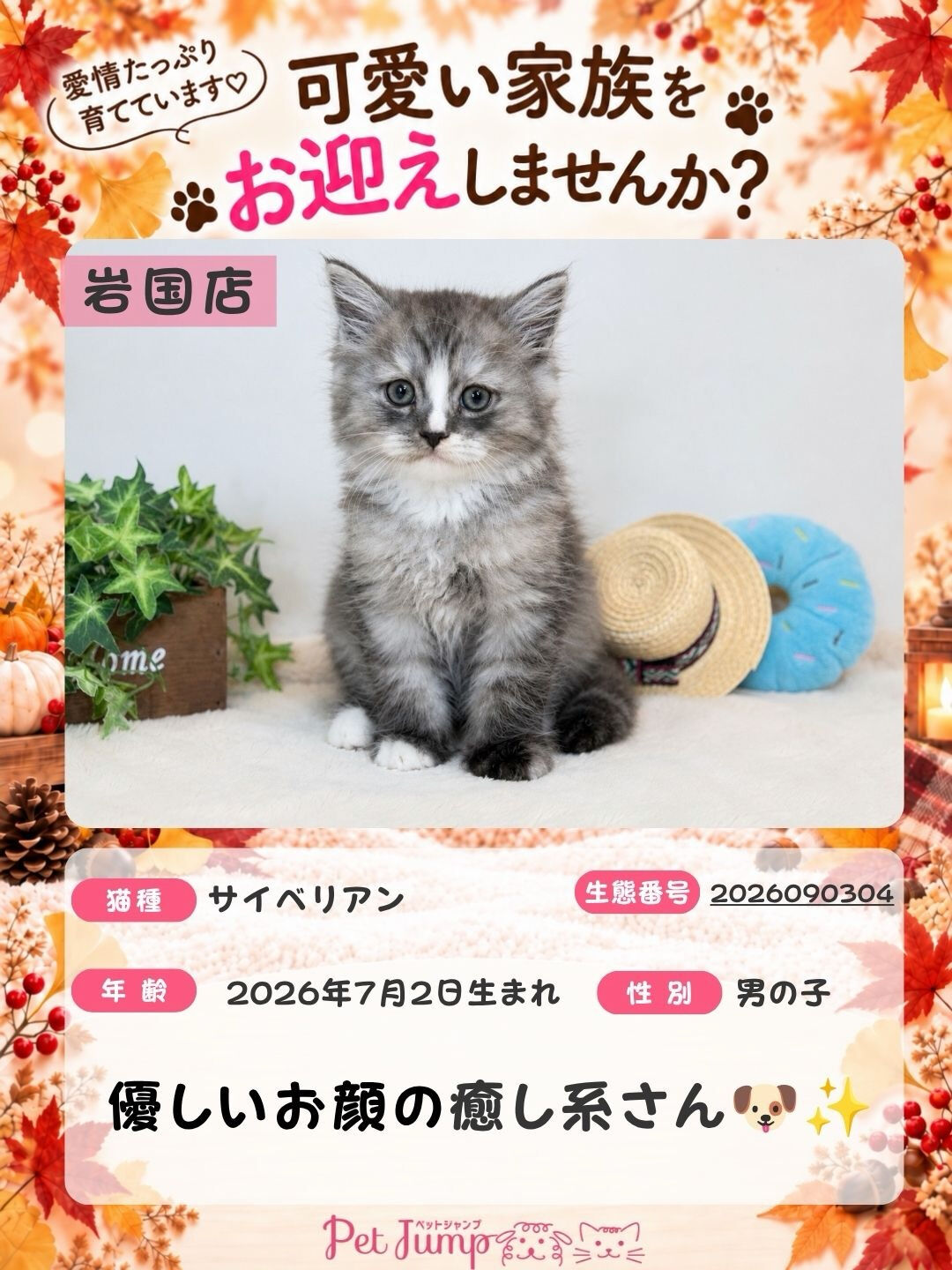 🐱💗 家族募集中 💗🐱