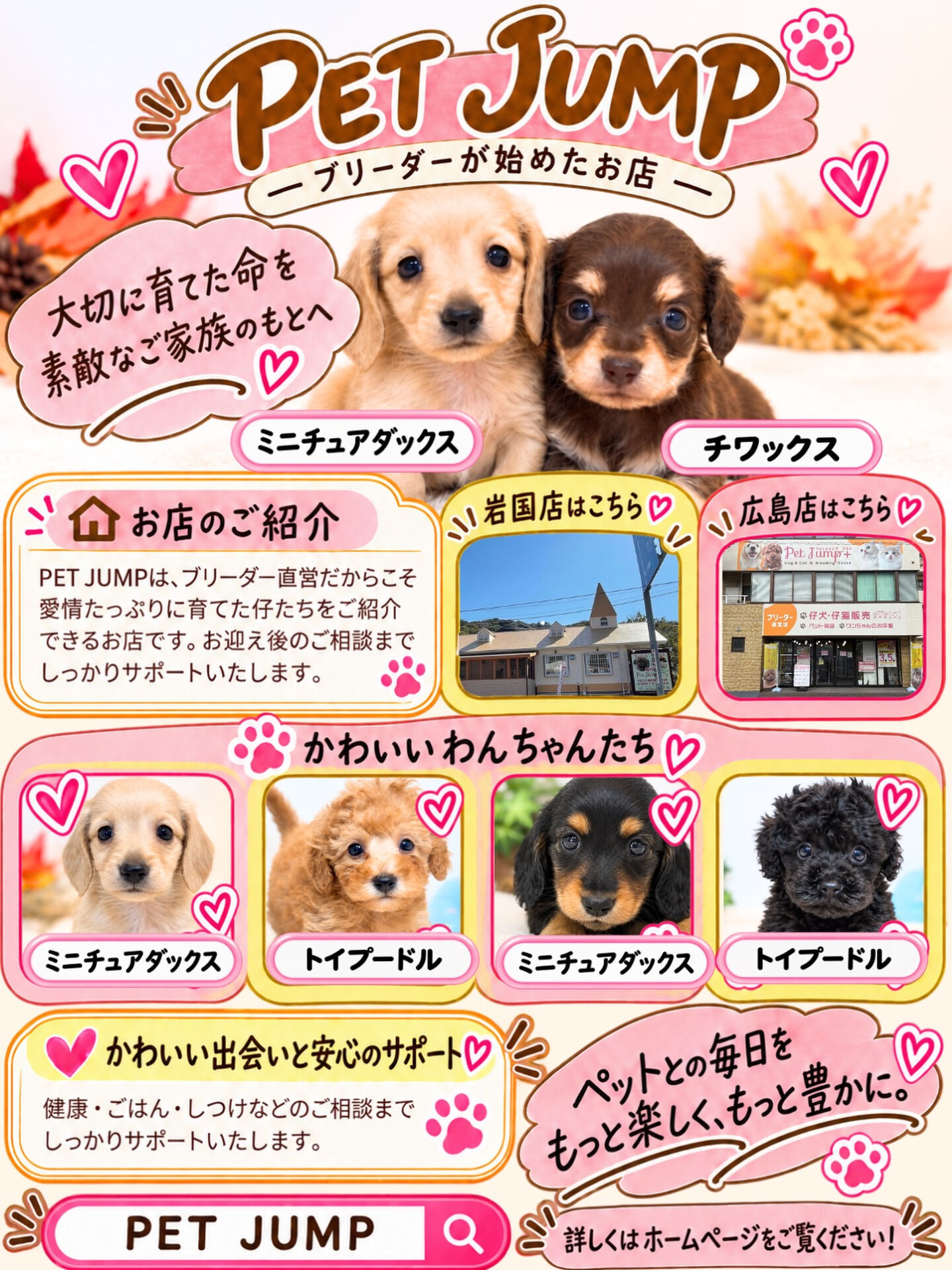 🐾 PET JUMPのかわいいわんちゃんたち 🐾
