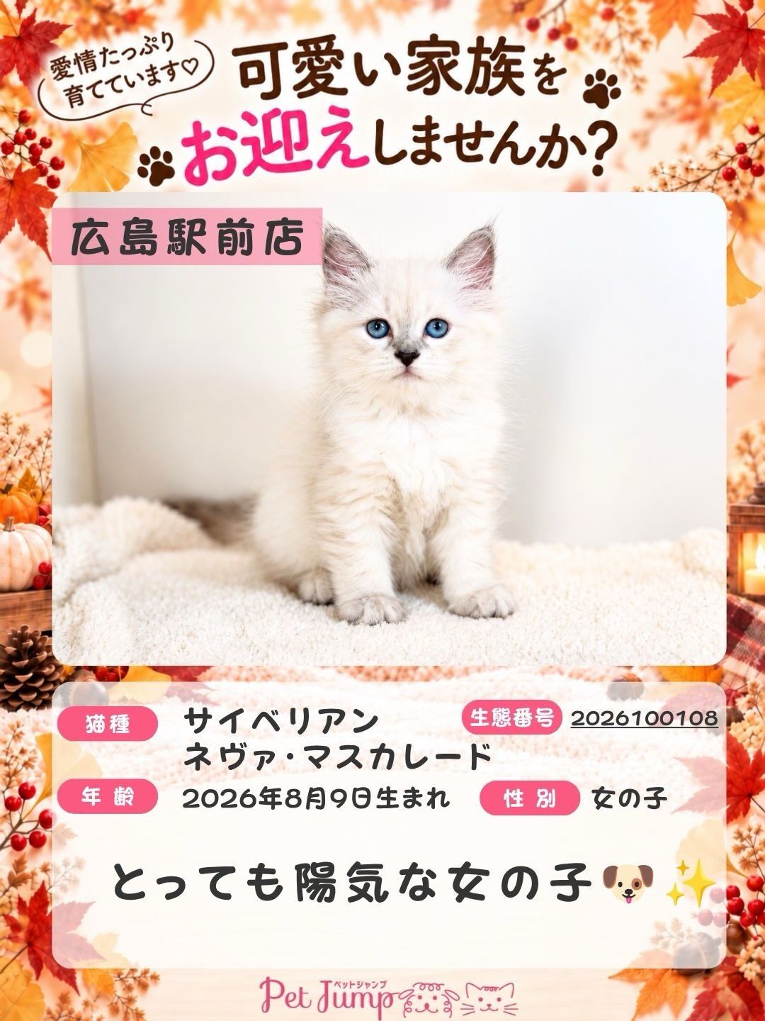 🐱💗 家族募集中 💗🐱