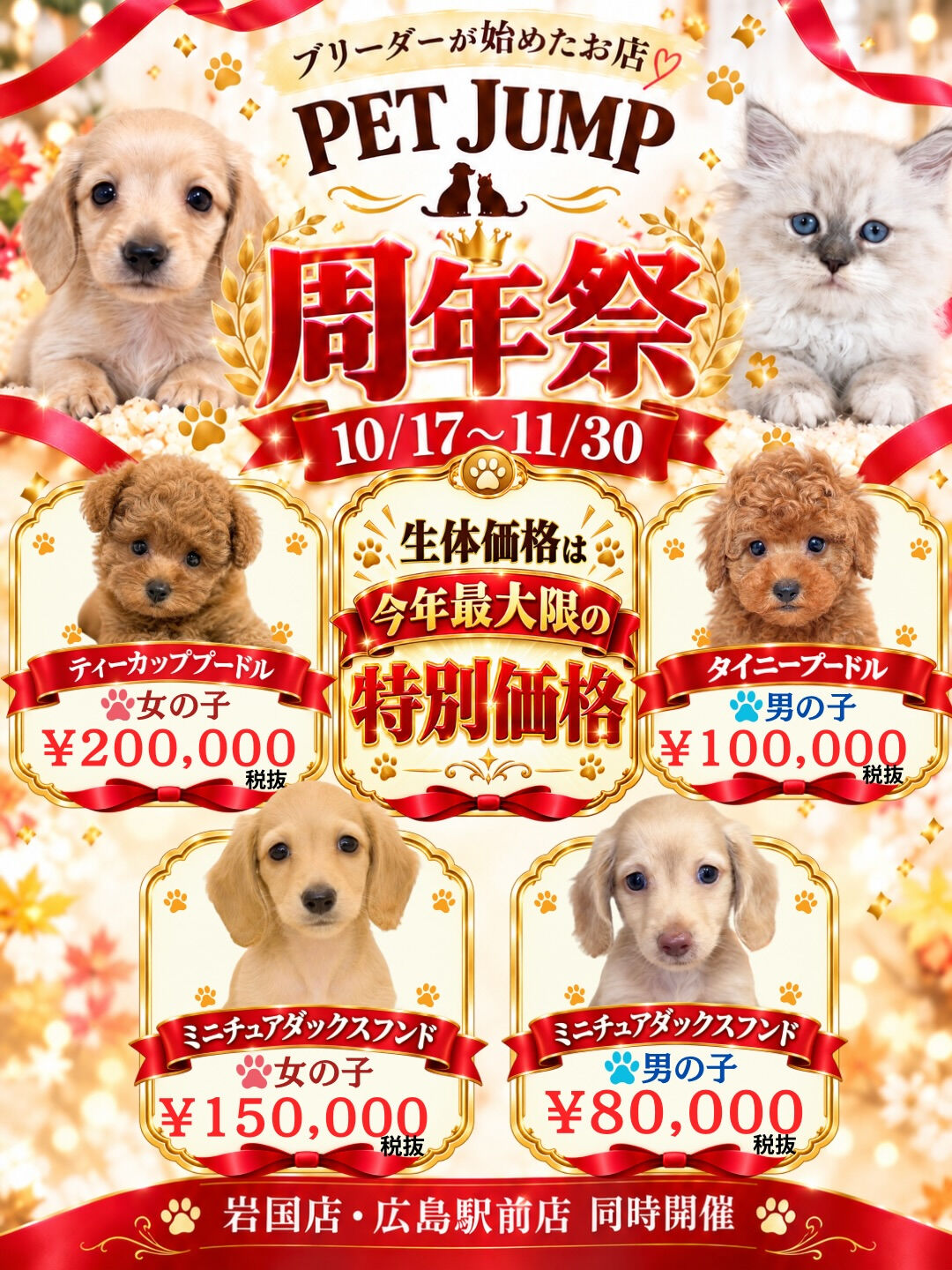 🎉🐾 PET JUMP 周年祭 開催！ 🐾🎉