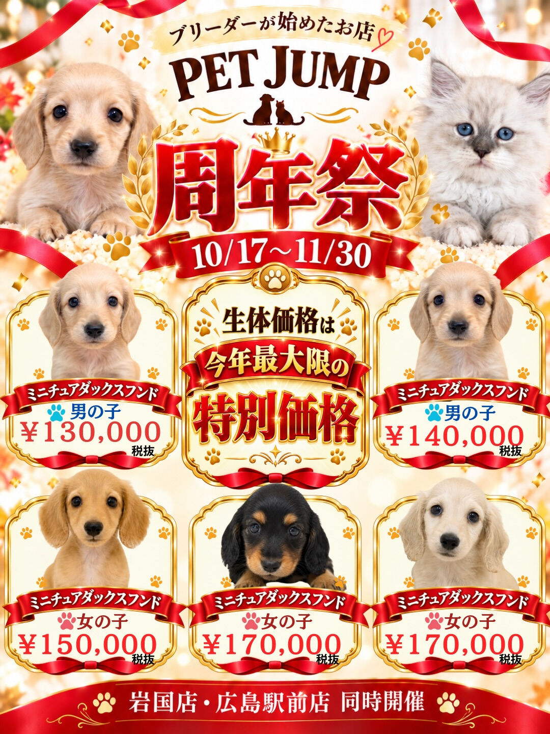 🎉🐾 PET JUMP 周年祭 開催！ 🐾🎉