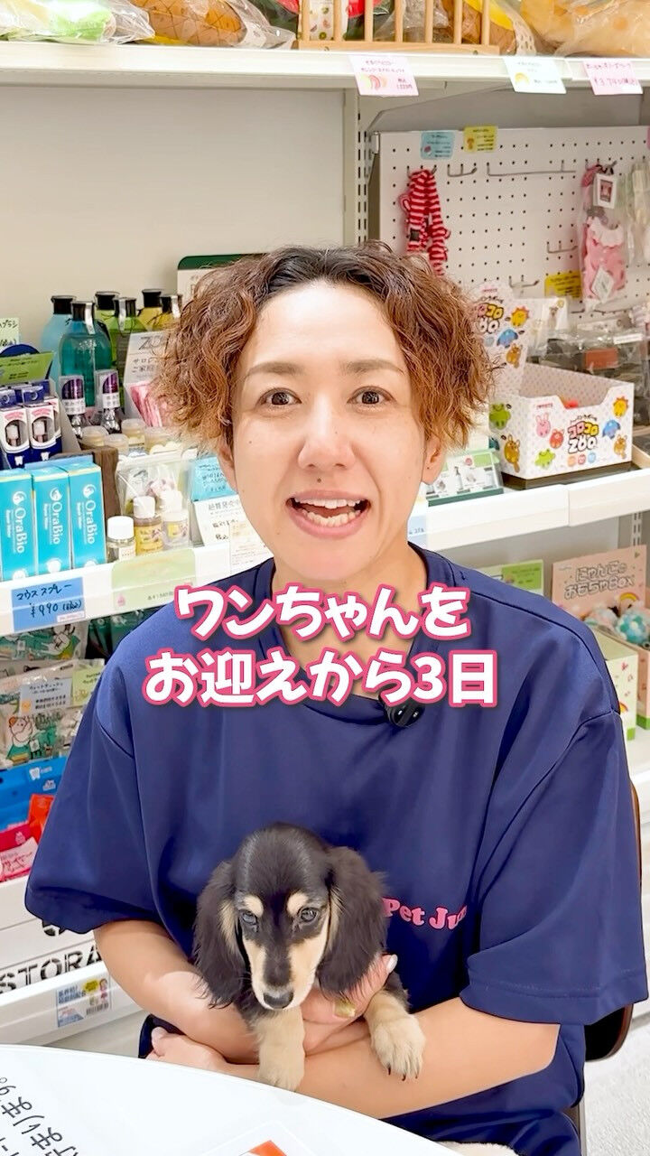 子犬をお迎えしたばかりの方から、よく届くご相談👇🏻