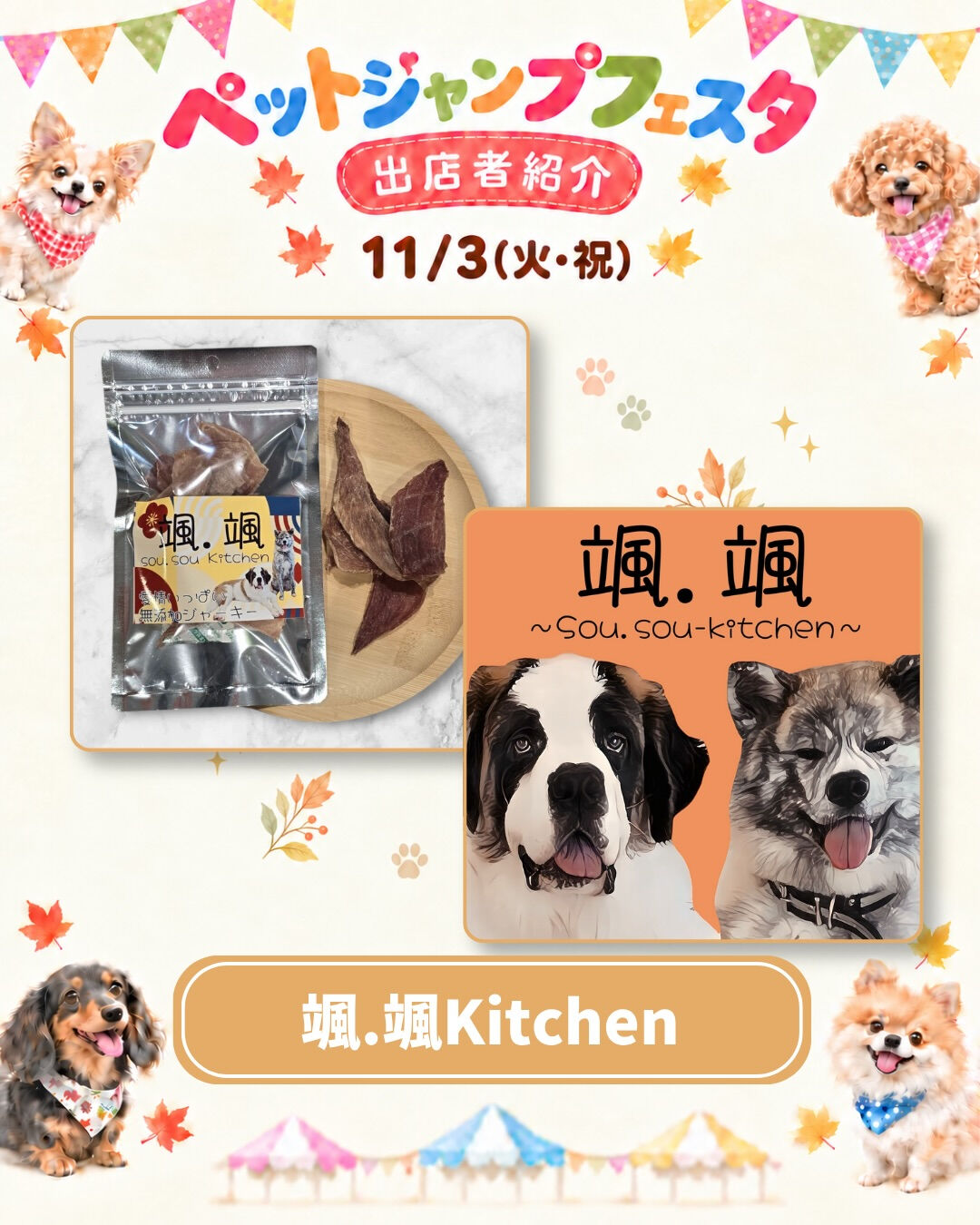 ✨🐾 PET JUMPフェスタ開催 🐾✨