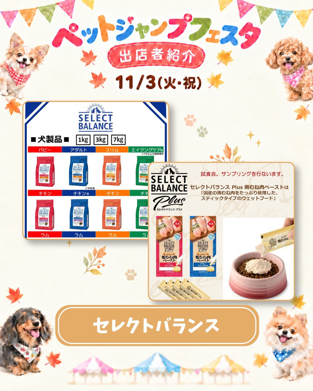 ✨🐾 PET JUMPフェスタ開催 🐾✨