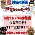 夏休み企画！！本日よりスタート！