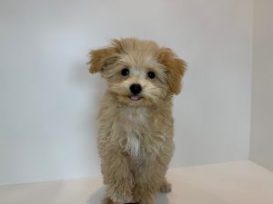 広島駅前店　92502