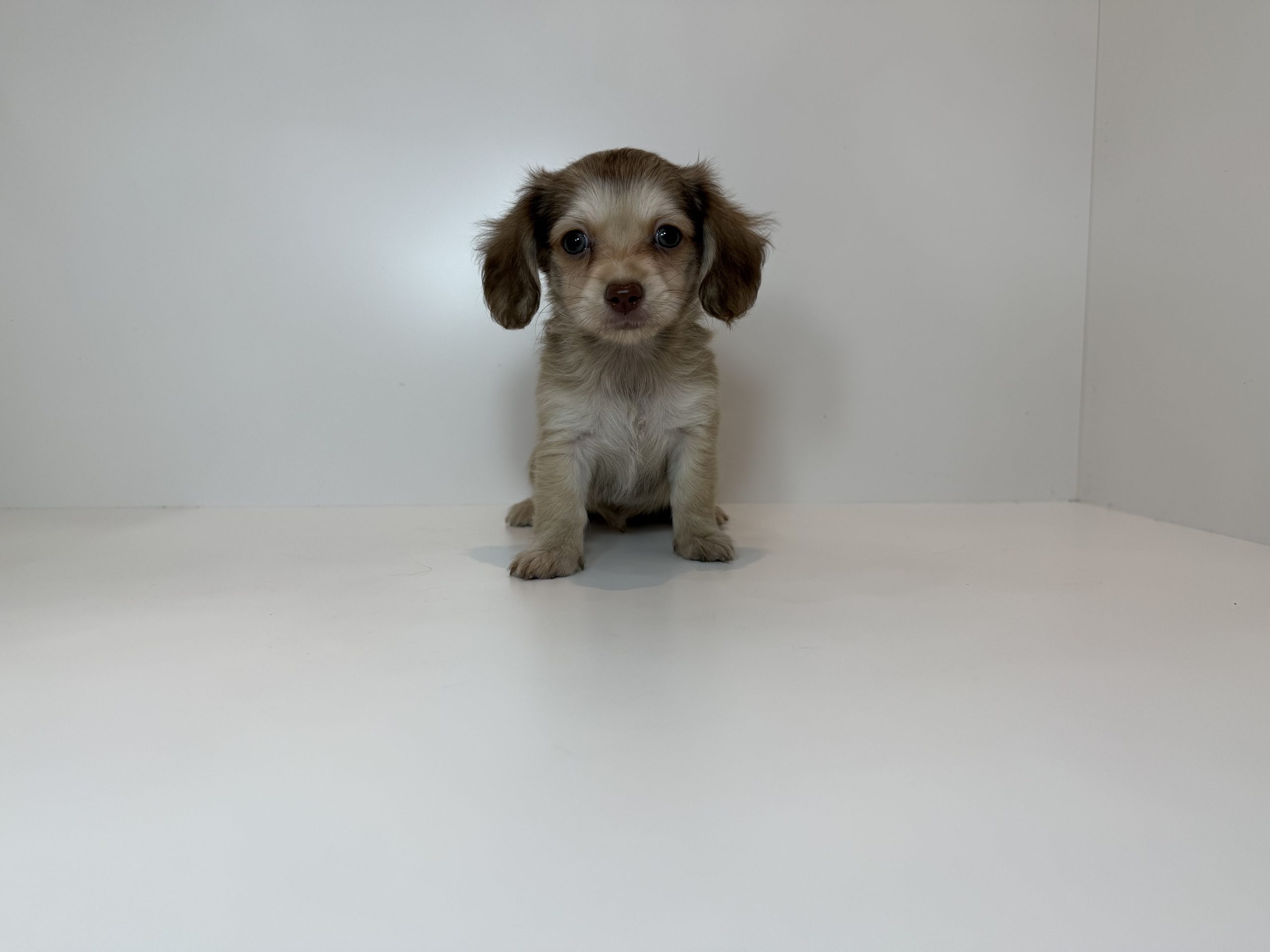 広島駅前店　100801