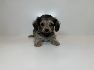 広島駅前店　100802