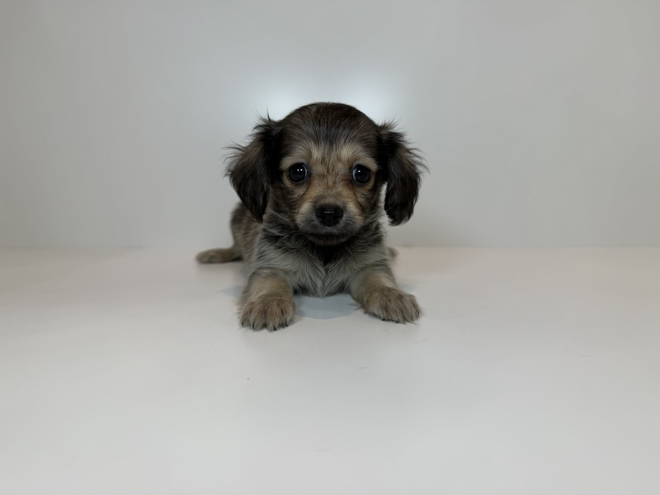 広島駅前店 100802