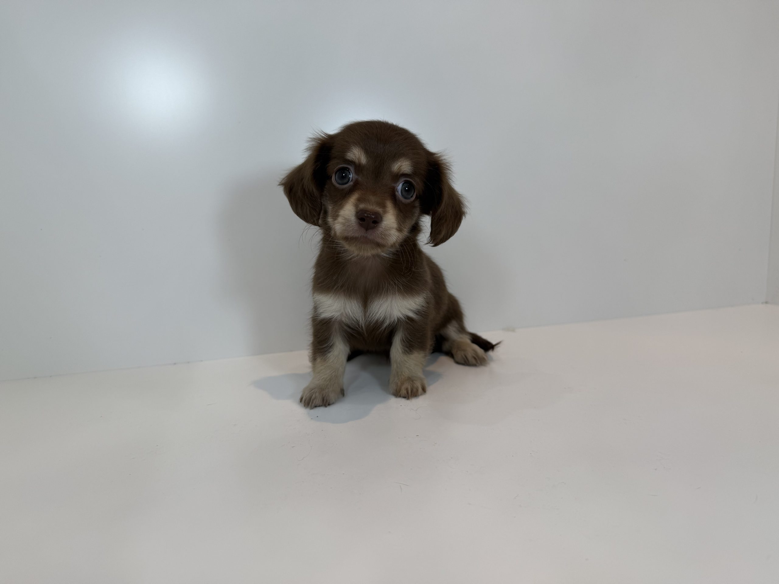 広島駅前店 100803