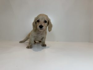 広島駅前店　100806