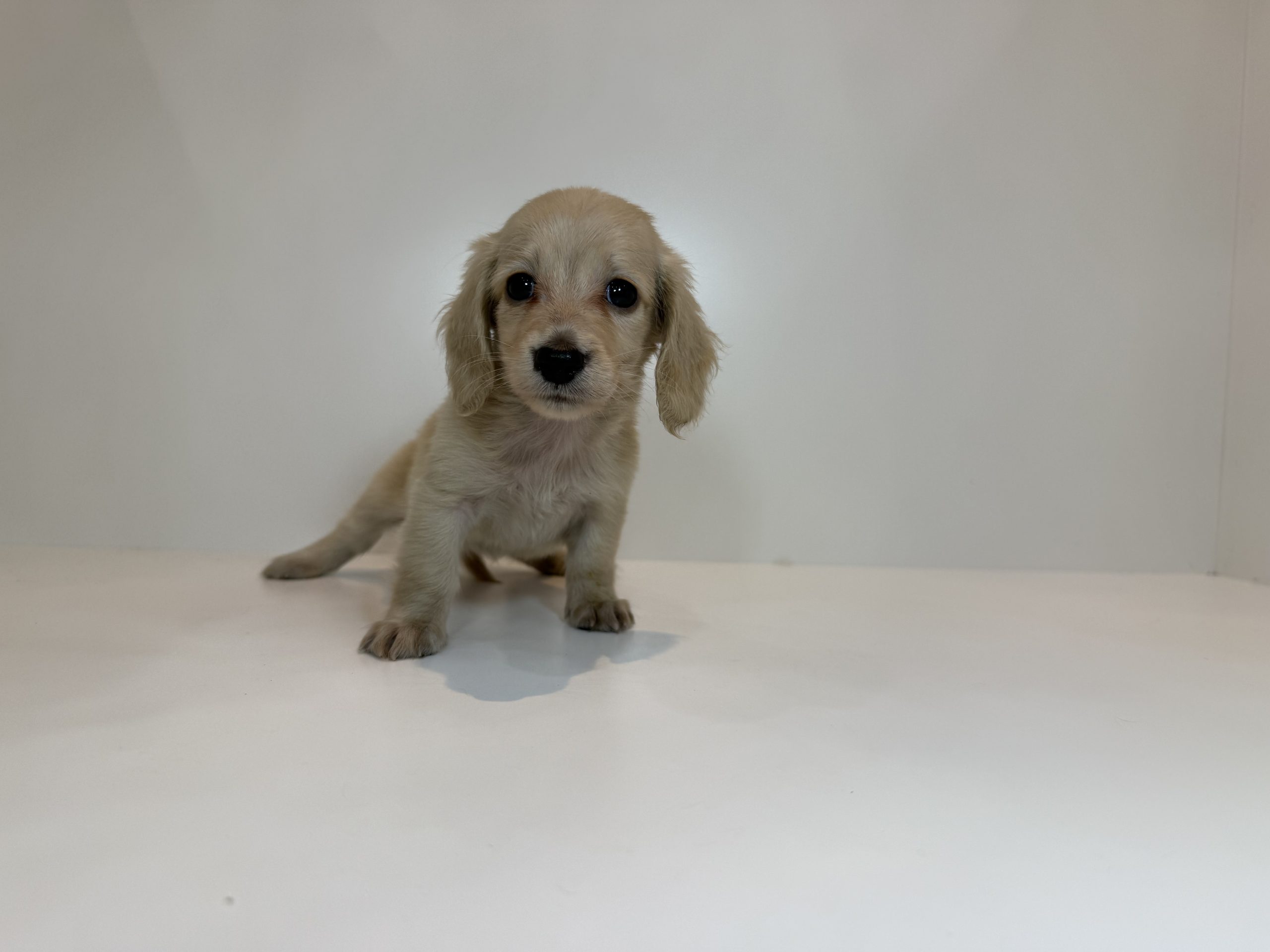 広島駅前店 100806