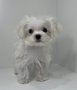 広島駅前店　80605