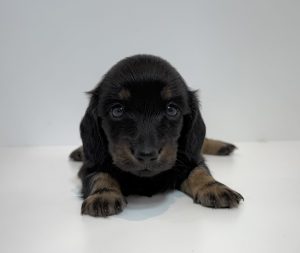 広島駅前店　110101