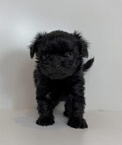 広島駅前店　110402