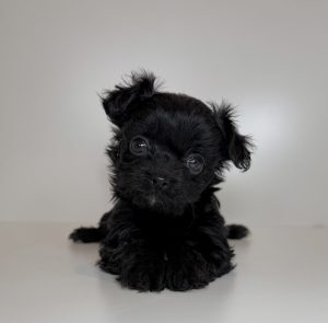 広島駅前店　110403