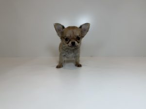 広島駅前店　112704