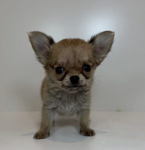 広島駅前店　112704