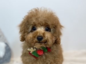 広島駅前店　110401