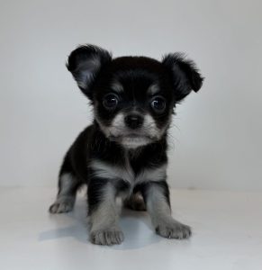 広島駅前店　120202