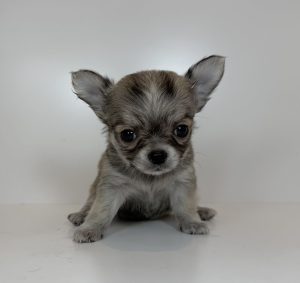 ご家族様が決まりました。　120203