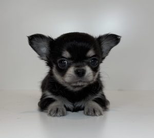 広島駅前店　120204