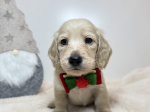 広島駅前店　121801