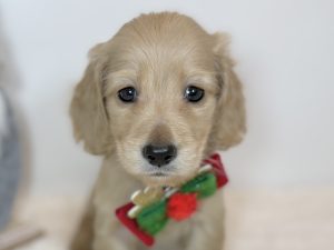 広島駅前店　121803