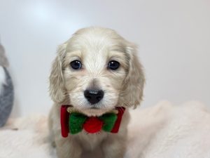 広島駅前店　121802